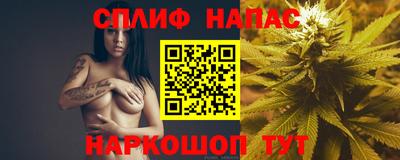 сатива Жуковский