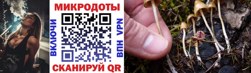 Галлюциногенные грибы мухоморы  Кемерово 