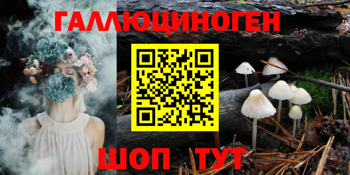 Бошки Шишки  Гашиш  Кемерово  Кокаин  Мефедрон кристаллы  Вход с VPN 
