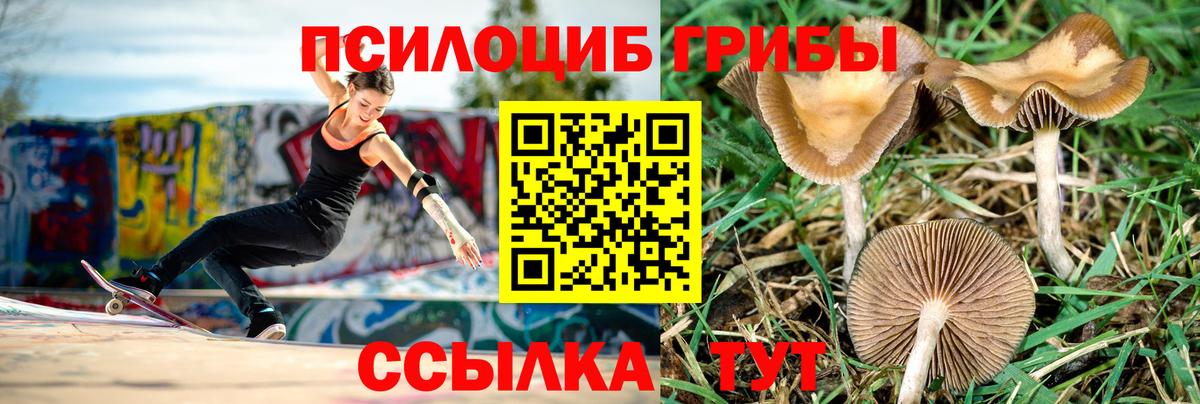 Галлюциногенные грибы MAGIC MUSHROOMS  Кемерово  Псилоцибиновые грибы GOLDEN TEACHER 