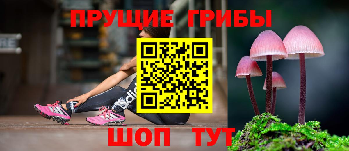 Псилоцибиновые грибы Psilocybine cubensis Кемерово